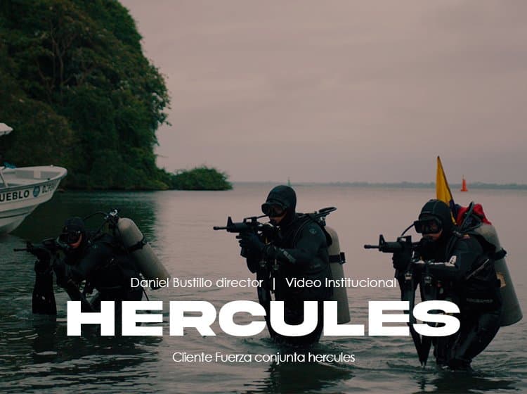 Fuerza Conjunta Hércules — Institucional