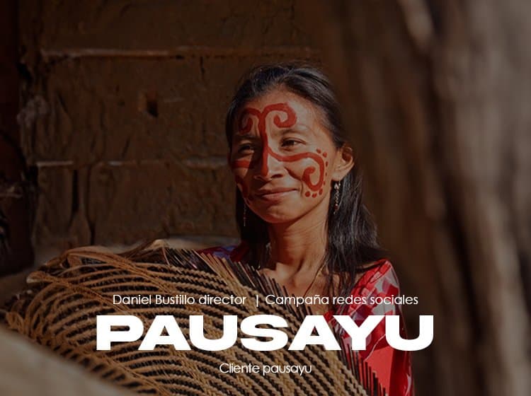 Pausayu — Campaña